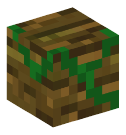 Minecraft head — Blocks