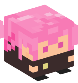 Minecraft head — Decor