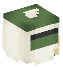 Minecraft head — Decor