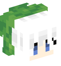 Minecraft head — People