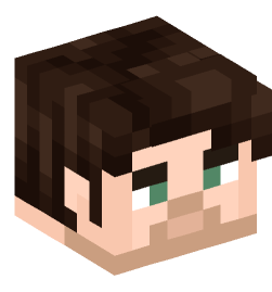 Minecraft head — People