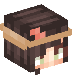 Minecraft head — People