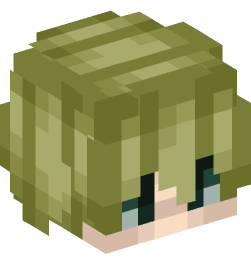 Minecraft head — People