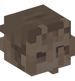 Minecraft head — People