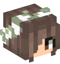 Minecraft head — People