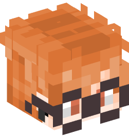 Minecraft head — People