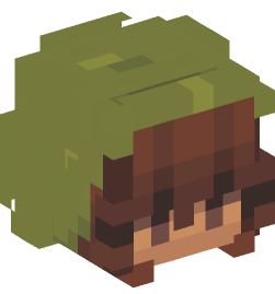 Minecraft head — People