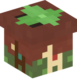 Minecraft head — Decor