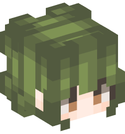 Minecraft head — People