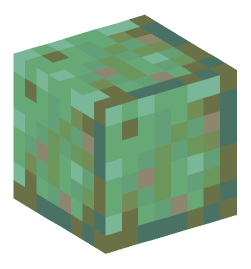 Minecraft head — Blocks