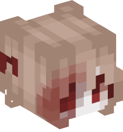 Minecraft head — People