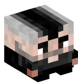 Minecraft head — Decor