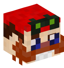 Minecraft head — People