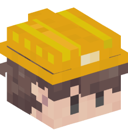 Minecraft head — People