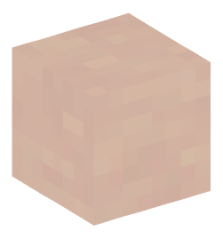 Minecraft head — Blocks