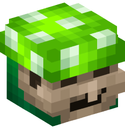 Minecraft head — People