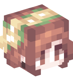 Minecraft head — People