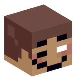 Minecraft head — Miscellaneous