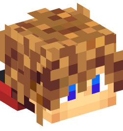 Minecraft head — People