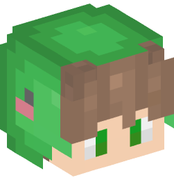 Minecraft head — People