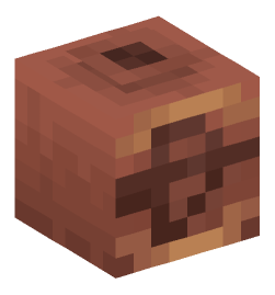 Minecraft head — Decor