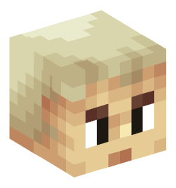 Minecraft head — People