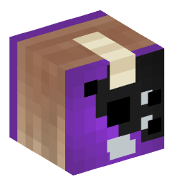 Minecraft head — Decor