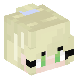 Minecraft head — People