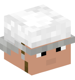 Minecraft head — People