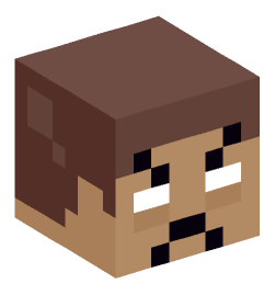 Minecraft head — Miscellaneous