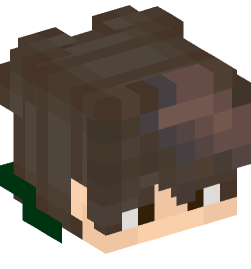 Minecraft head — People