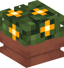 Minecraft head — Decor