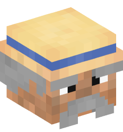 Minecraft head — People