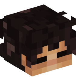 Minecraft head — People