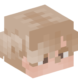 Minecraft head — People