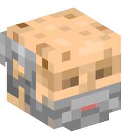 Minecraft head — People