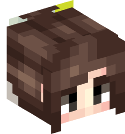 Minecraft head — People