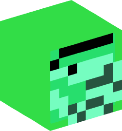 Minecraft head — Miscellaneous