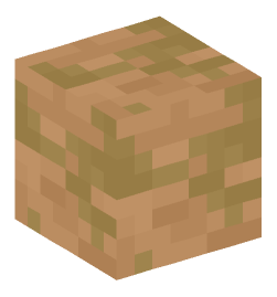 Minecraft head — Blocks