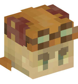 Minecraft head — People