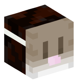 Minecraft head — Decor