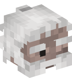 Minecraft head — People