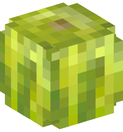 Minecraft head — Plants