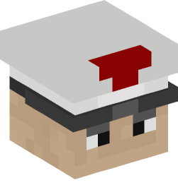 Minecraft head — People