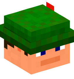 Minecraft head — People