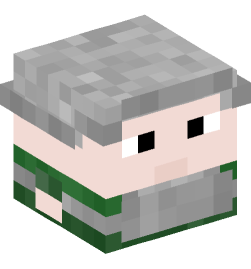 Minecraft head — Decor