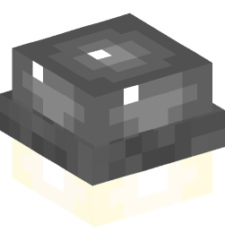 Minecraft head — Decor