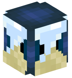 Minecraft head — Decor