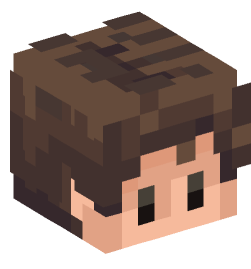 Minecraft head — People