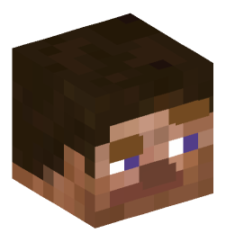 Minecraft head — People